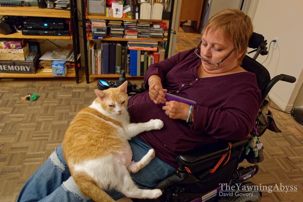 Lucy demonstrating how to be a lap cat