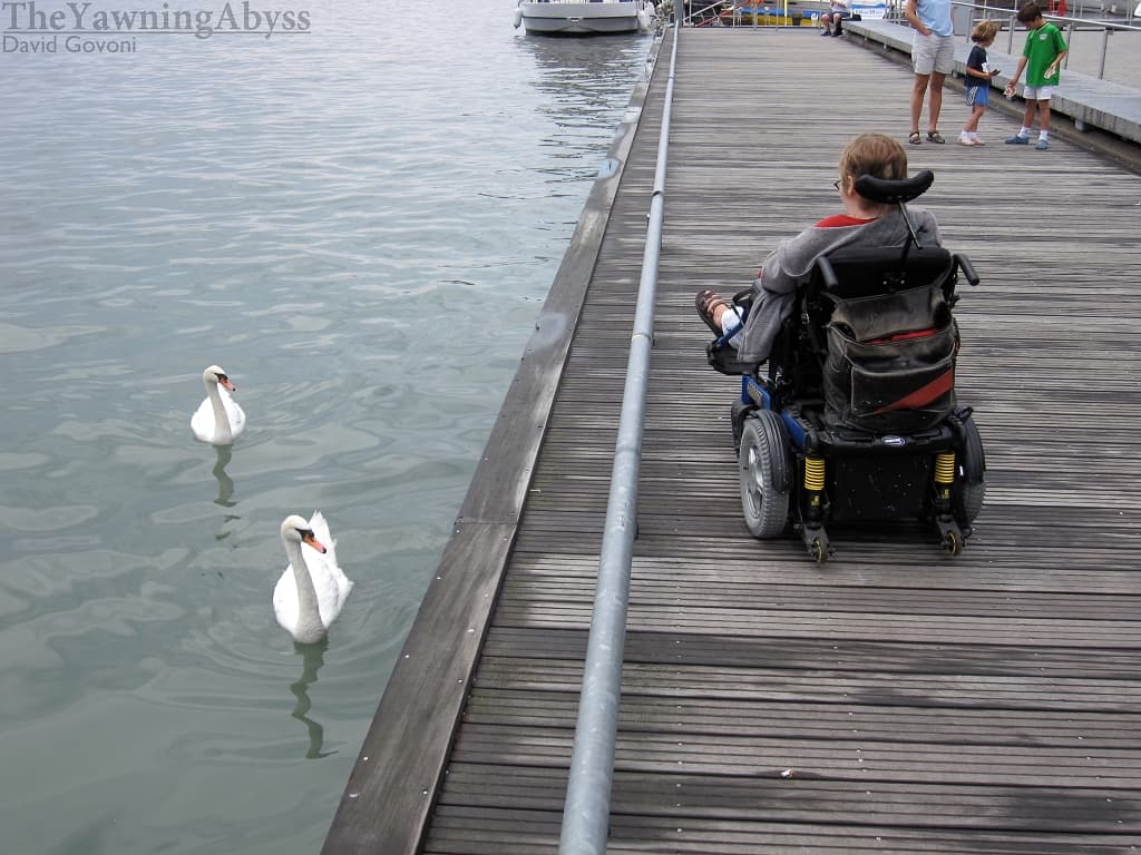 Lene taking pictures of two swans from a boardwalk